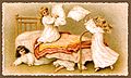 Austrian Postcard 1901