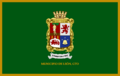 BanderaLeonGto
