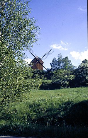 Archivo:Bockwindmuehle Borne (Naturparkverein Flaeming)