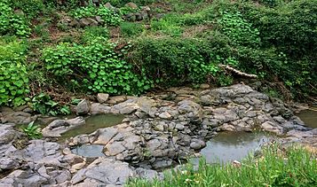 Archivo:Chabocos en el Barranco de San Jerónimo