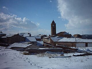 Corbalán nevado.jpg