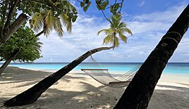 Archivo:Diamonds Thudufushi Beach and Water Villas, May 2017 -07