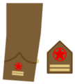 Ejerpopulardivi16