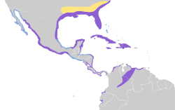Distribución geográfica del corocoro blanco.