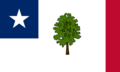 Flag of Mississippi Variant (1861)