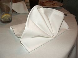Archivo:Folded napkin 01