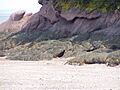 Fundy National Park of Canada 5