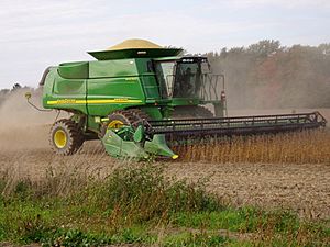 Archivo:Harvesting soybeans