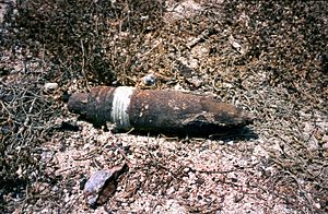 Archivo:Irakian corroded shell