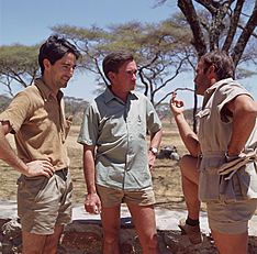 Archivo:Jesús Mosterín, Hugo van Lawick and Félix Rodríguez de la Fuente in Africa (1969)