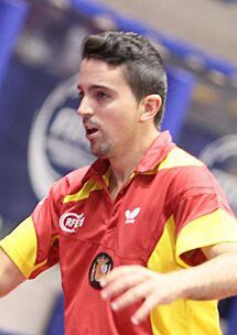 Jorge Cardona, 2013 (cropped).jpg