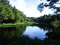 Kejimkujik NP Nova Scotia 4