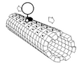 Kinesin walking