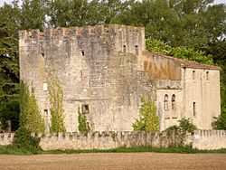 Lacorzana (Armiñón) - Torre de los Hurtado de Mendoza 02.jpg