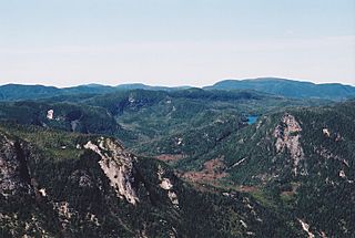 Laurentides (Parc des Hautes-Gorges, Charlevoix, Quebec).jpg