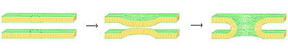 Archivo:Membrane fusion via stalk formation