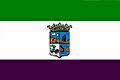 Mini bandera tolox.jpg