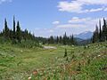 Mount Revelstoke National Park 1