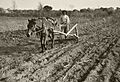NRCSDC01012 - Flickr - USDAgov