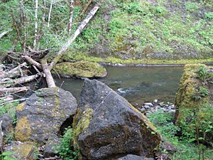 Archivo:OregonCoastRangeRiver