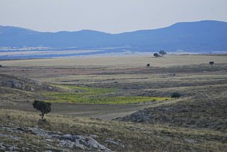 Paisaje de Tortuera con la Sierra de Caldereros al fondo..jpg