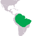 Paleosuchus palpebrosus Distribution
