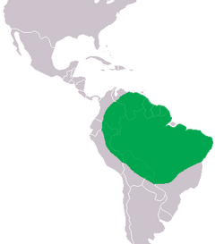 Distribución grográfica del caimán de Cuvier