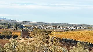 Peñuelas, municipio de Láchar (Granada, España).jpg