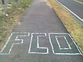 Pintada FCO - ferro