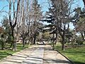 Plaza guarello