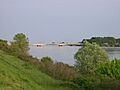 Po a San Benedetto (Mantova) 1