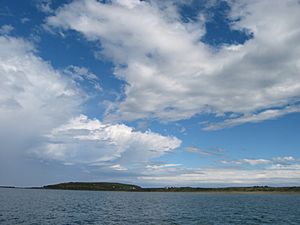 Archivo:Porpoise Bay