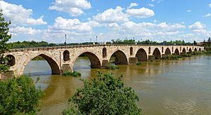 Archivo:Puente de Piedra (Zamora) (2)