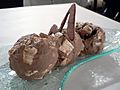 Rockyroadicecream