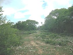 San Isidro (Mérida), Yucatán (03).jpg