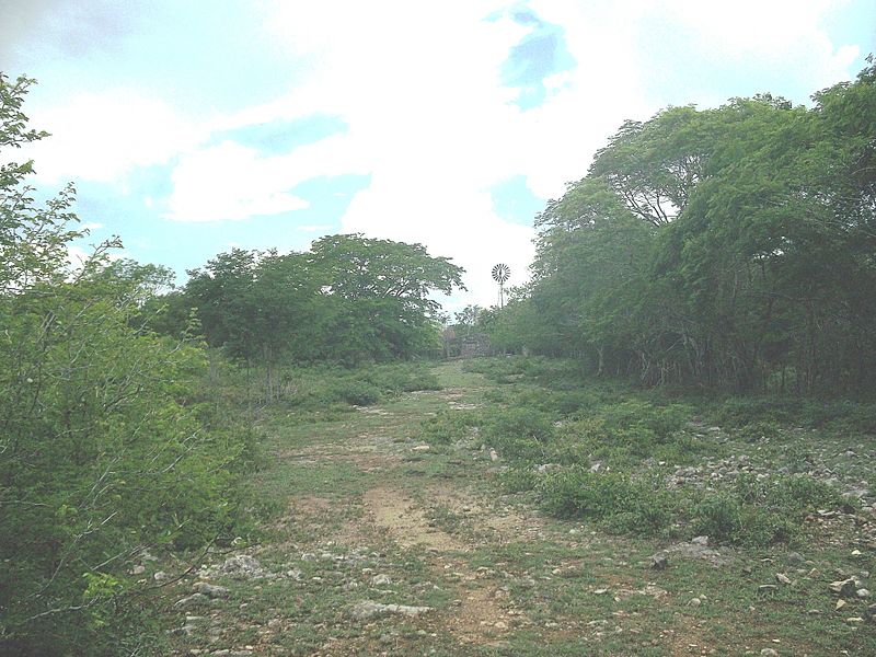 San Isidro (Mérida), Yucatán (03)