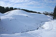 Archivo:Seimyniskeliai hillfort