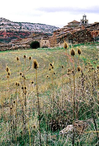 Soria (provincia) 1982 05.jpg