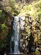 Tacámbaro, Mich., Mexico - panoramio (3)