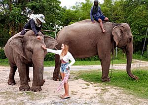 Archivo:Thai elephants and mahouts with model Aomelia Napaphat by Don Ramey Logan