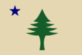 Unofficial flag of Maine
