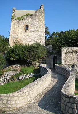 Val de San Vicente Torre de Estrada.jpg