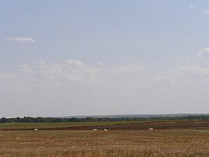 Archivo:Western Kansas-High Plains Nicodemus