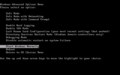 Windows Advanced Options menu