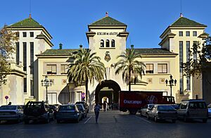 Archivo:Antic Mercat d'Abastiments de València
