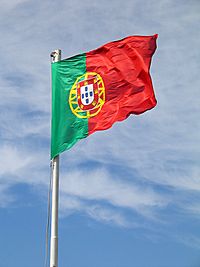 Archivo:Bandeira de Portugal foto