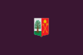 Bandera de Amoroto.svg
