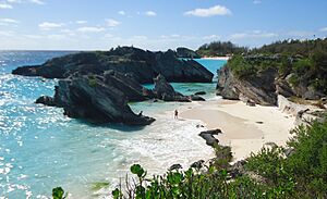 Archivo:Bermuda (UK) image number 235 view from bluff looking at Horseshoe Bay beach