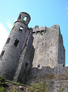 Archivo:Blarney Castle. co Cork. Ireland.