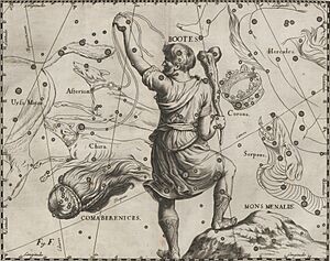 Archivo:Bootes - Prodromus astronomiae 1690 (5590255)